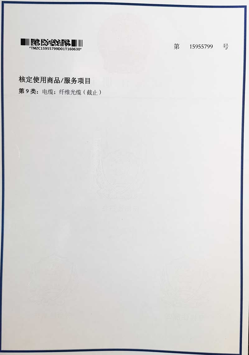 PA视讯商标 - - 2